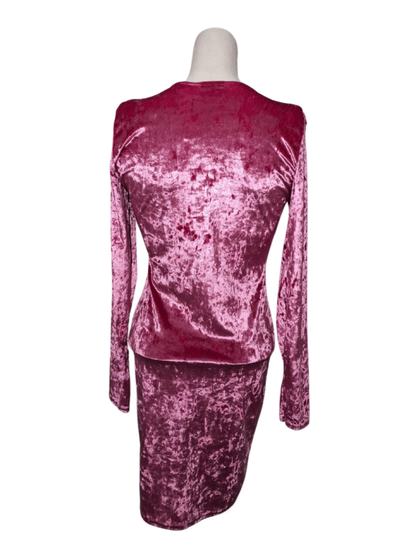 Rožinė aksominė suknelė, S