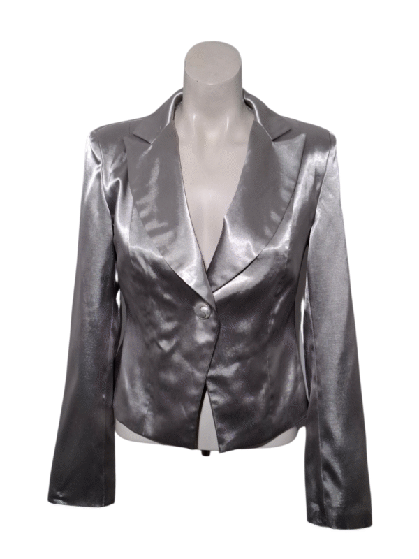 Pilkas blizgus švarkas, S