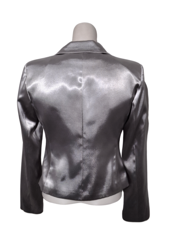 Pilkas blizgus švarkas, S