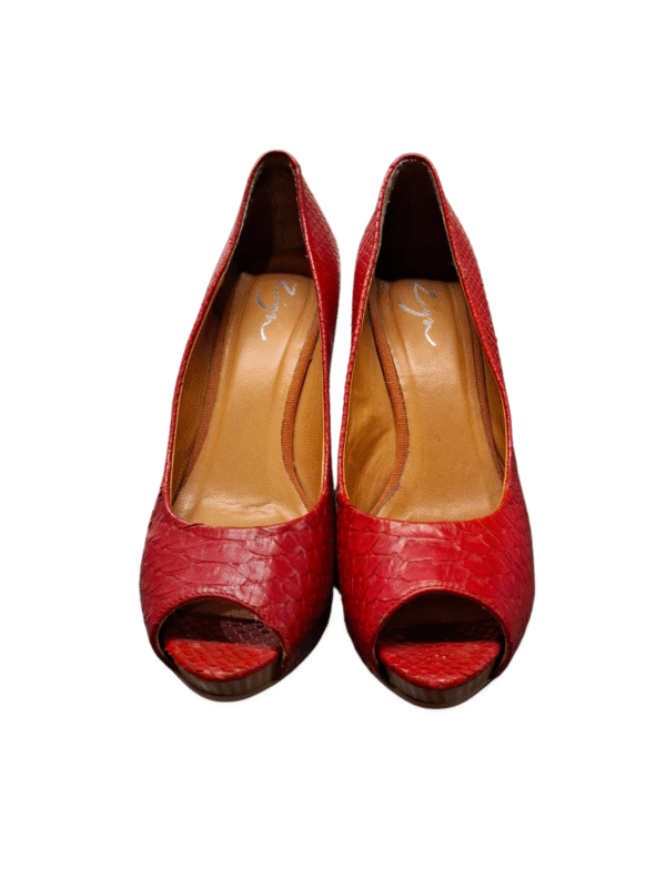 Raudoni gyvūno rašto aukštakulniai atviru priekiu, 39 dydis