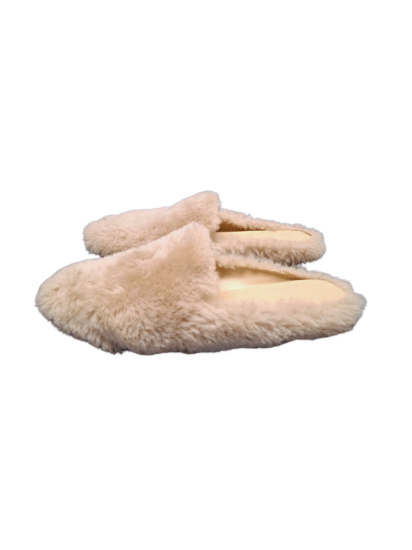 Smėlio spalvos SANDRO bateliai, 37 dydis