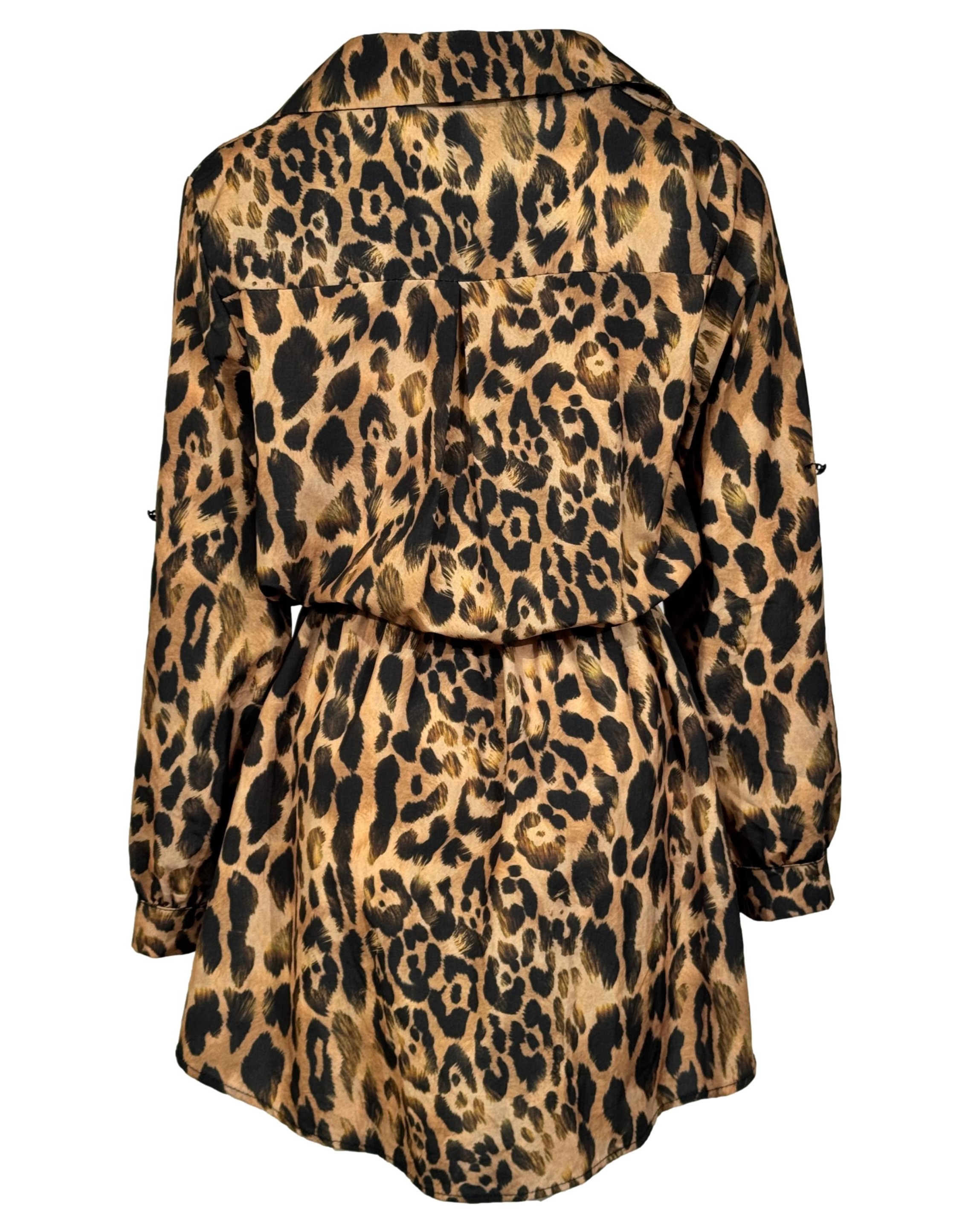 IMG_1713_clipped_rev_1