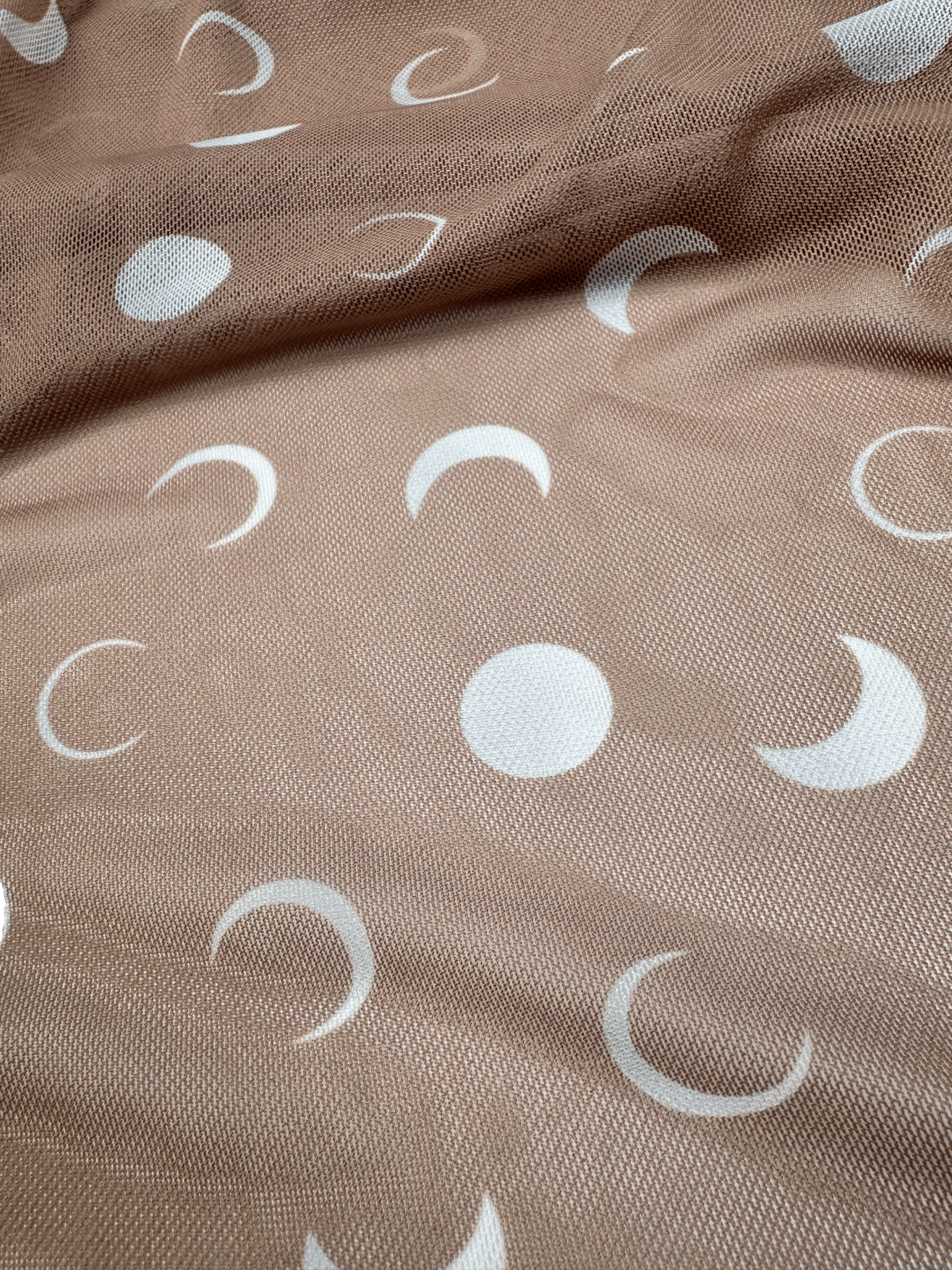 IMG_2651_clipped_rev_1