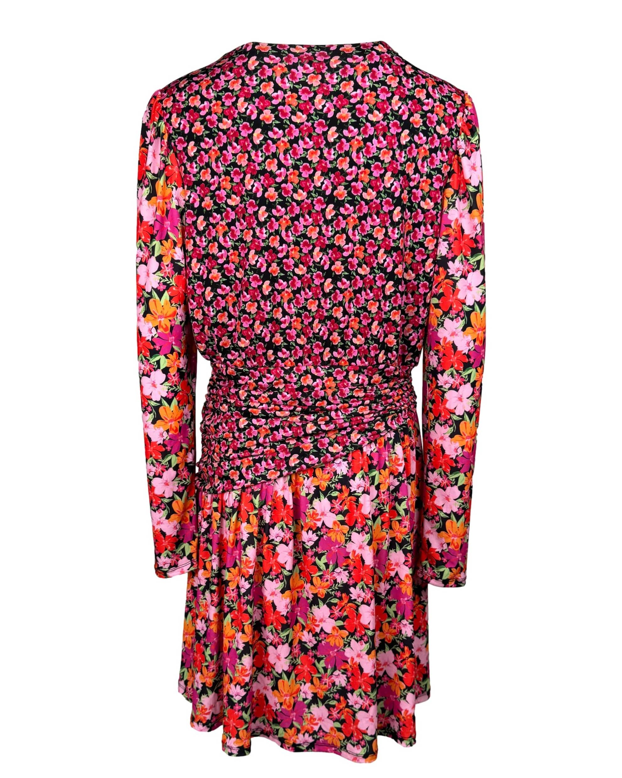 IMG_3978_clipped_rev_1