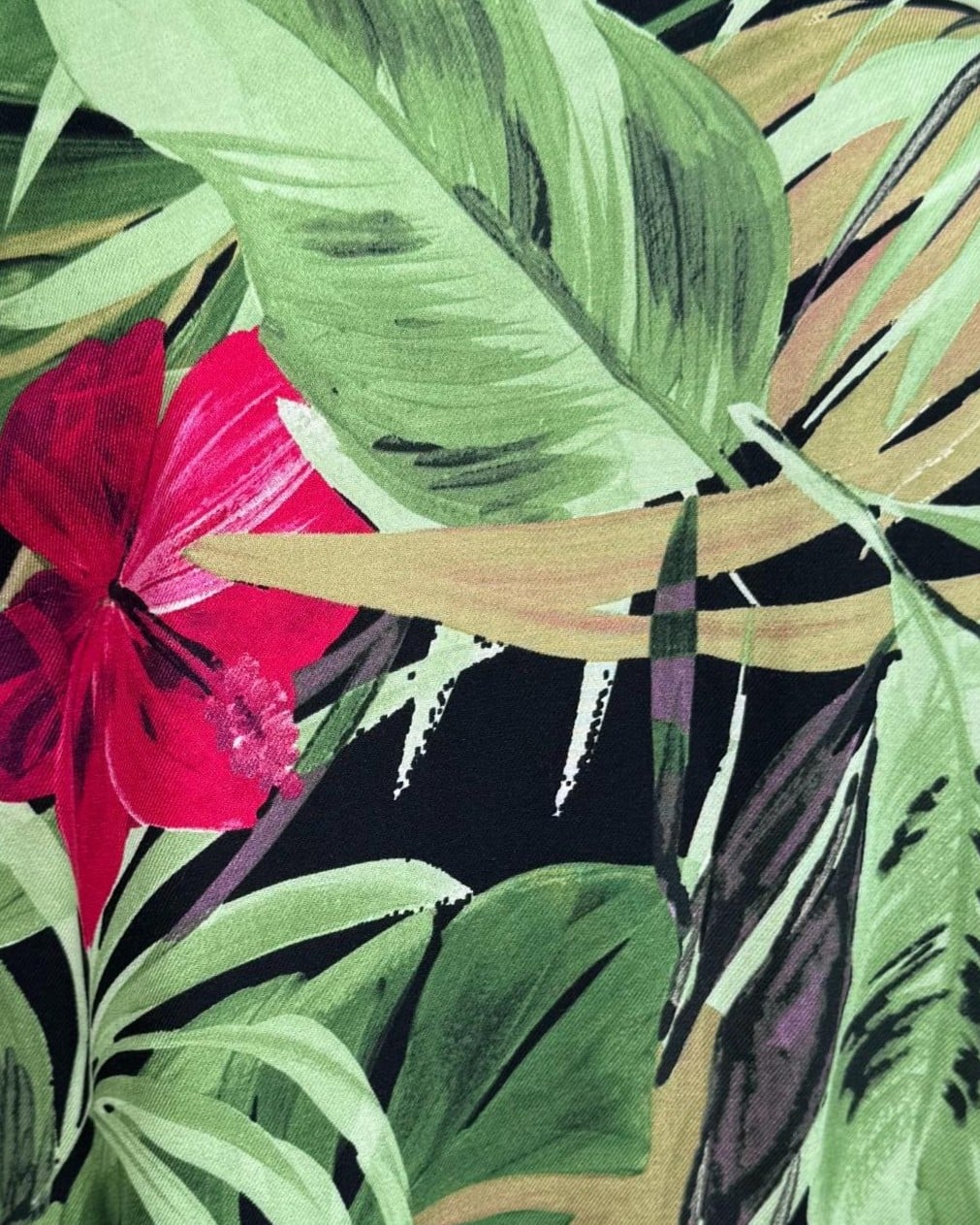 IMG_4123_clipped_rev_1