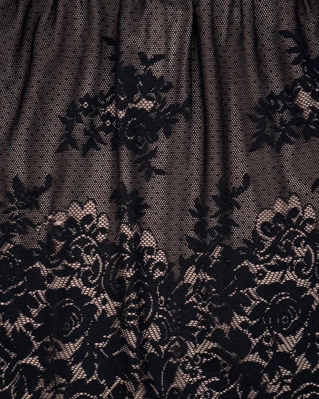 IMG_4348_clipped_rev_p