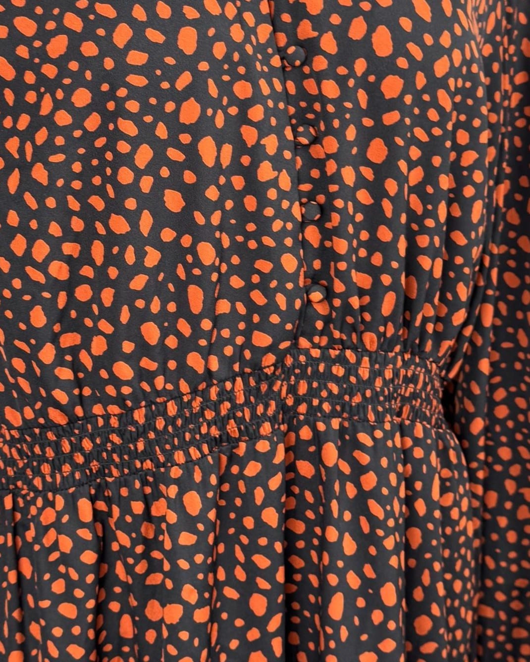 IMG_4365_clipped_rev_1