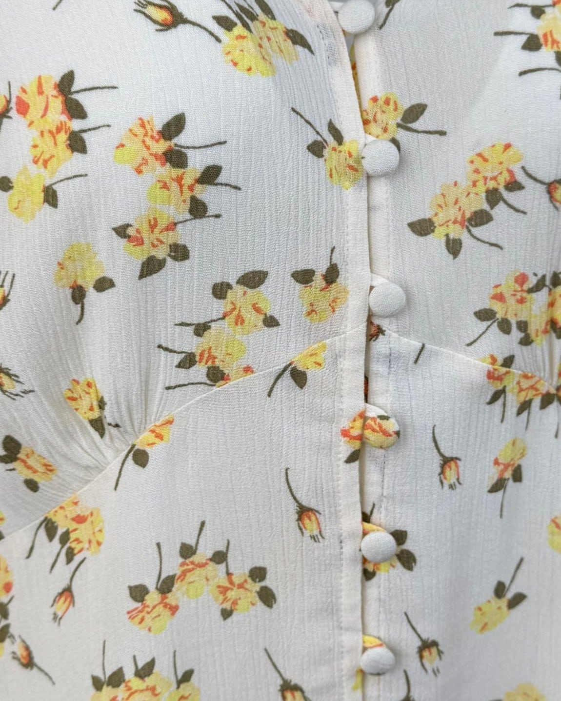 IMG_4529_clipped_rev_1