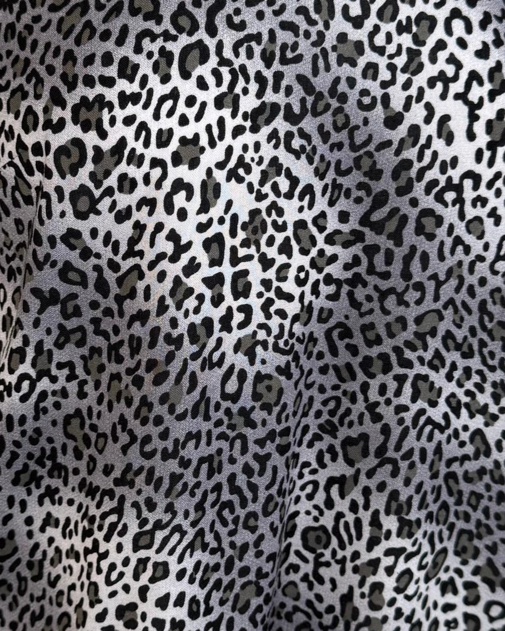 IMG_4611_clipped_rev_1