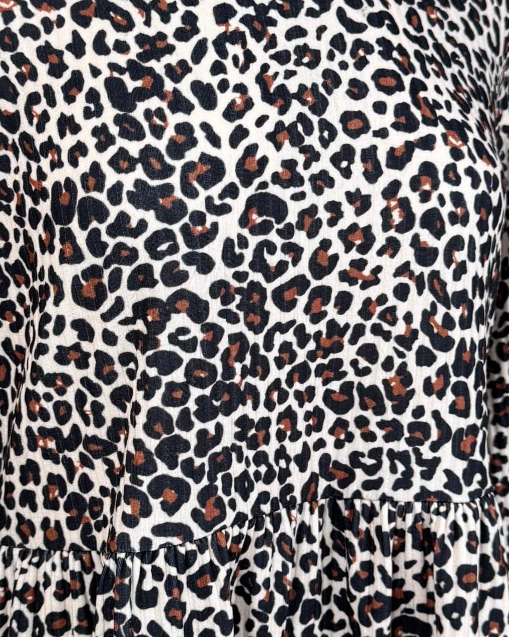 IMG_4651_clipped_rev_1