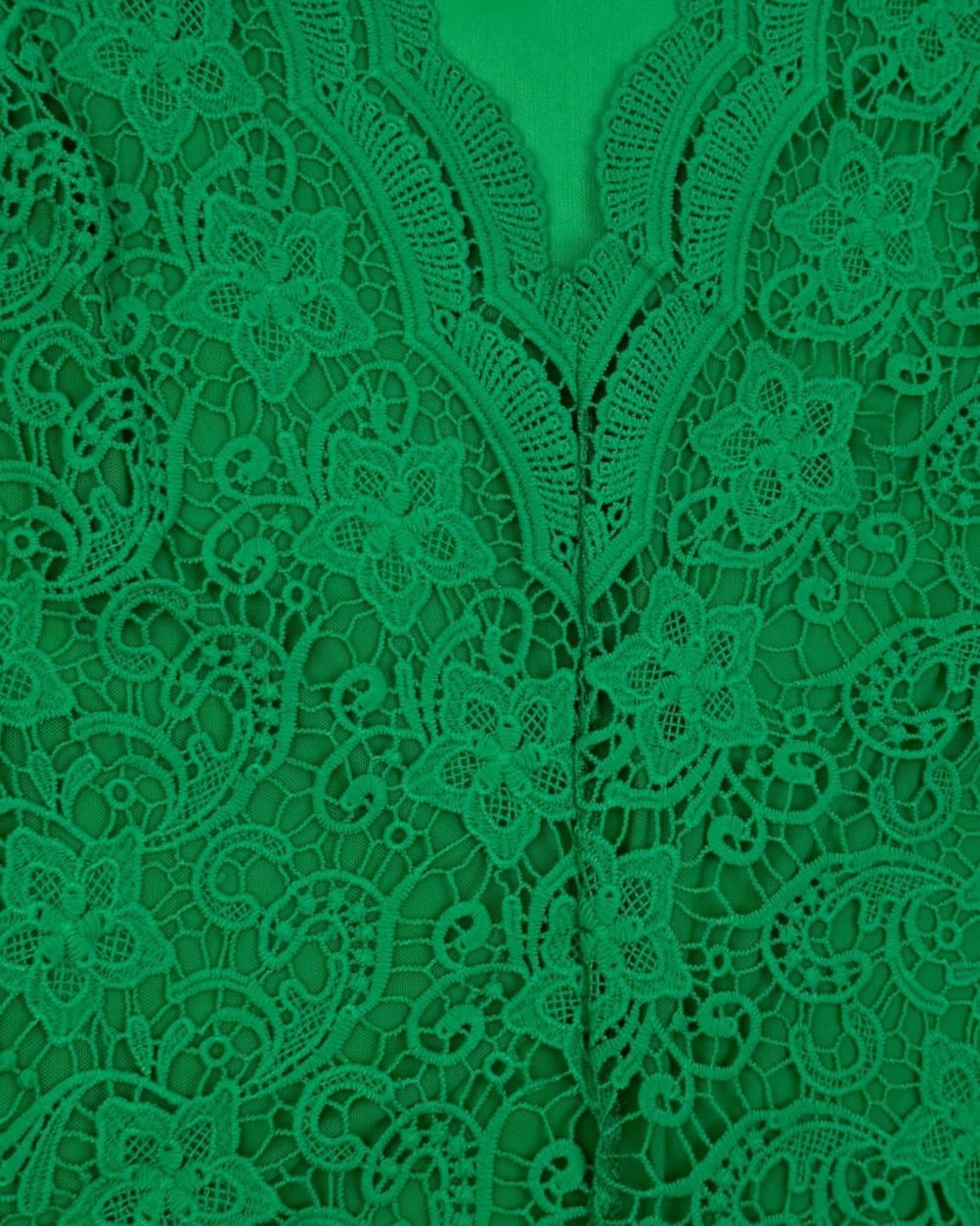 IMG_4695_clipped_rev_1