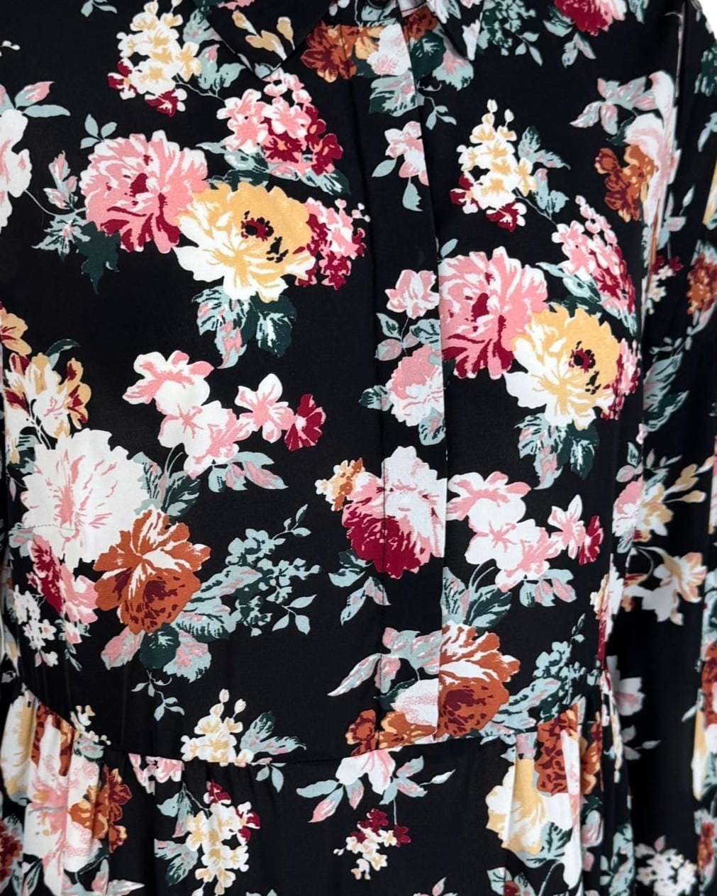 IMG_5011_clipped_rev_1