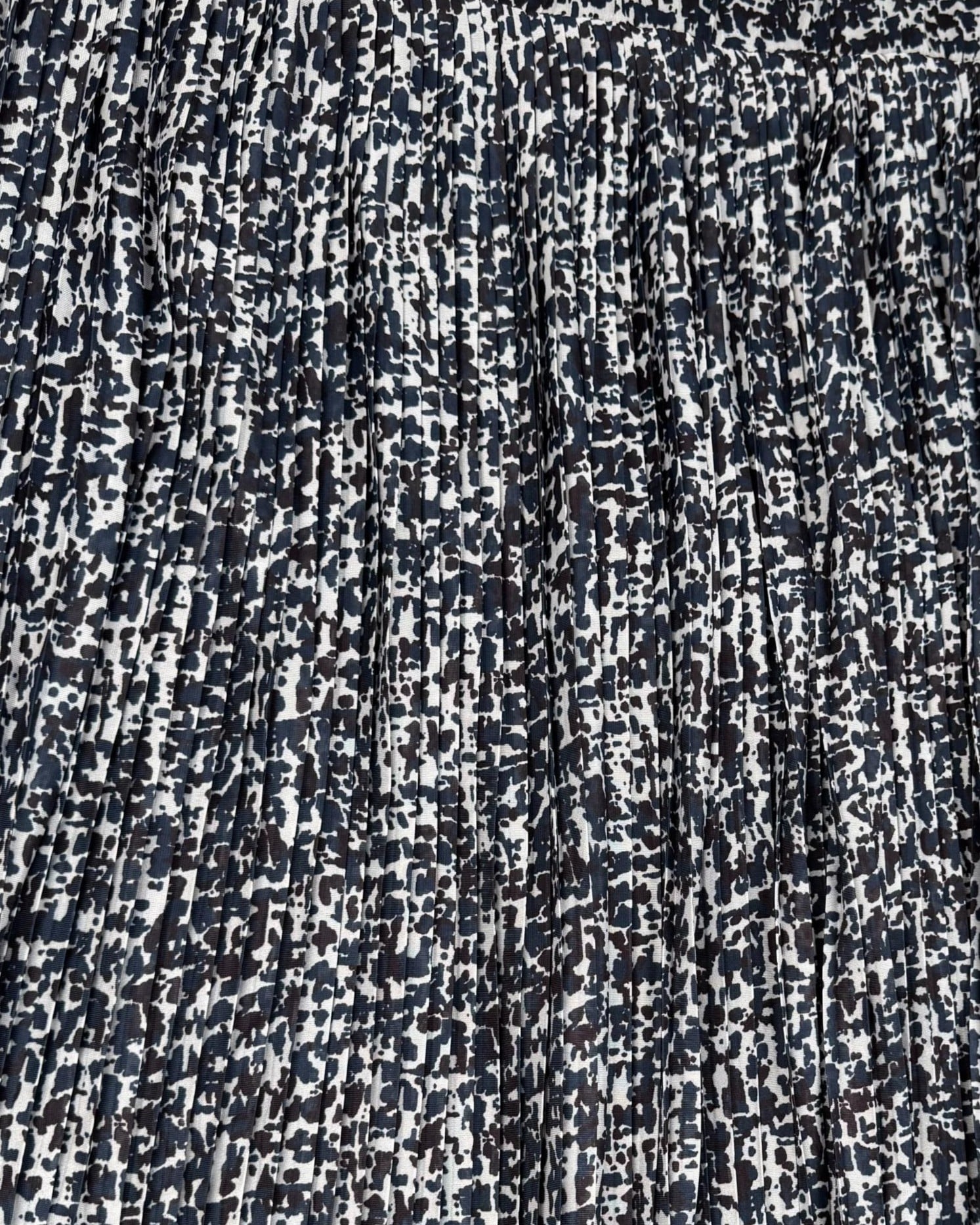 IMG_5247_clipped_rev_1