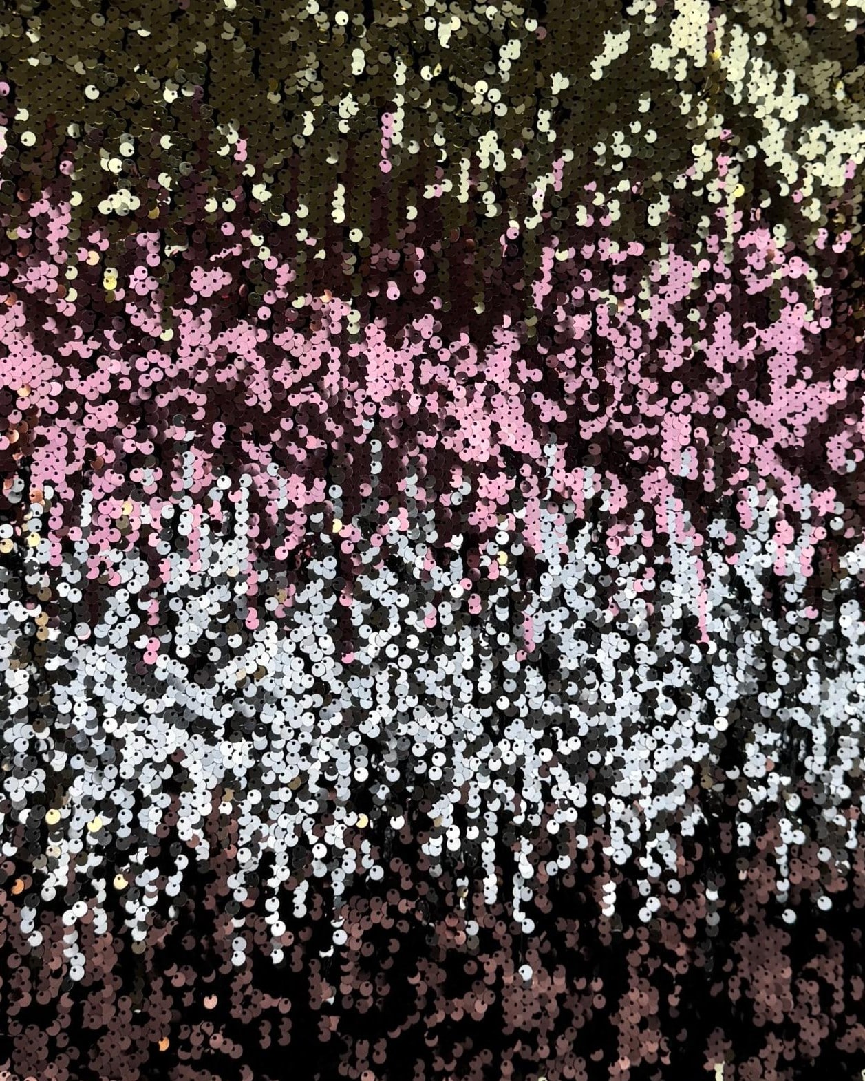 IMG_5305_clipped_rev_1