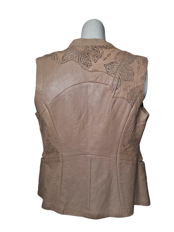 Ruda odinė liemenė, S